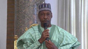 Ban On Open Grazing Won’t Work – Zulum