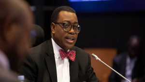 Akinwumi Adesina: Nigerians Deserve Wealth — Poverty Situation Unacceptable