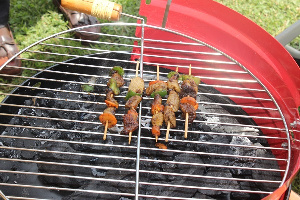 Samples of khebab prepared from 'Akokono' - Afrifcan palm weevil larvae