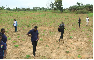 The seedlings identified as Mokona were discovered after research by the NASPA executives