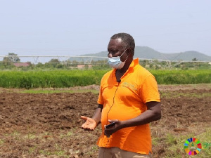 Former Senior Researcher, Crop Research Institute (CRI), Dr. Kwesi Offei Bonsu