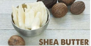 We need to develop standards for shea butter to attract investors