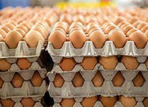 File photo: Crate of eggs