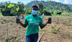 A Green Ghana official with seedlings for planting