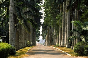 File photo of the Aburi Botanical Gardens