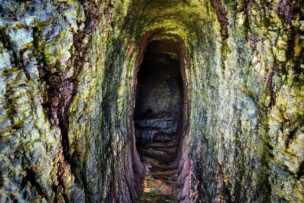 The floor of the tunnel is carpeted in a wet green moss