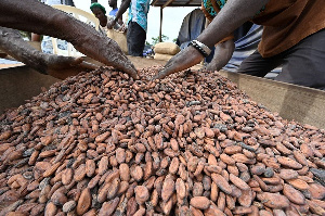 Cocoa is a major foreign exchange earner for Ghana