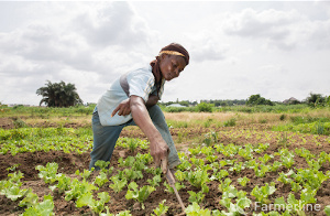 Best farmer in Central Region says farming is a noble job