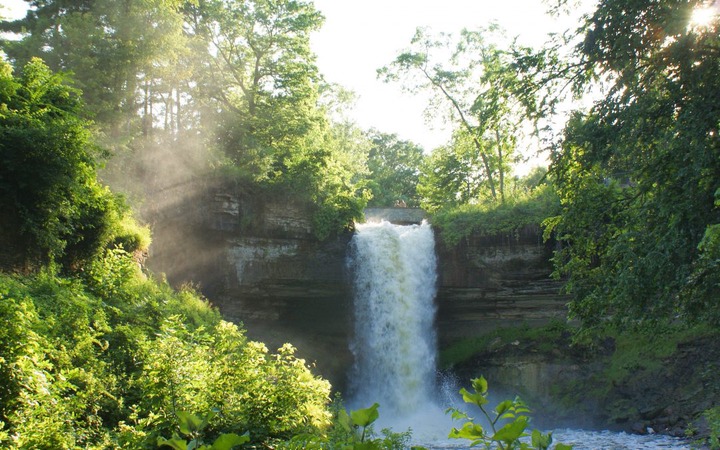 The ultimate health tool: how spending time in nature will make you happier  and healthier - By Ali Roff - One Year No Beer