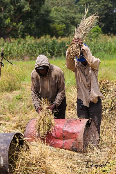 Minister impressed with general overview of agriculture in Oti Region