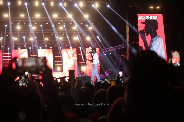 Afro Nation’s mega start comes to abrupt end as near-stampedes threaten Day 2