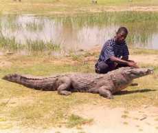 Crocodiles Stranded In Sissala – Severe Drought Hits Water Habitats |