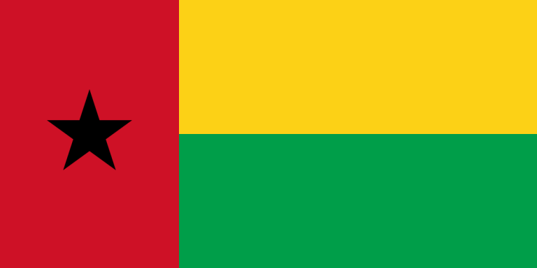 Guinea-Bissau, grateful for Ghana’s support for its liberation struggle