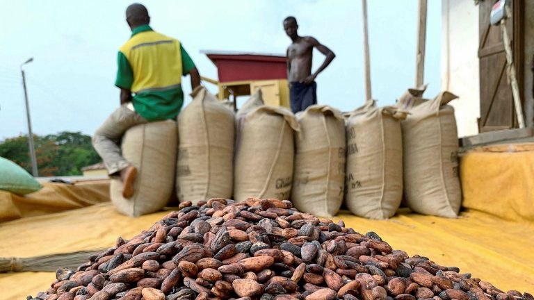 Ghana losing huge quantities of cocoa to smuggling