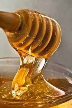 US$5bn Local Honey Industry At Risk |
