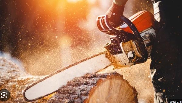 People Are Only Just Discovering What Chainsaws Were Originally Used For |
