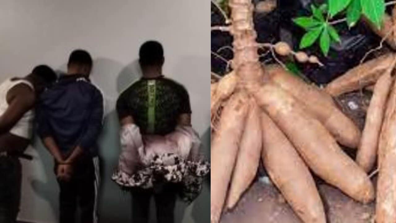 3 men sentenced to 18 months imprisonment for stealing cassava