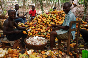 COCOBOD secures $800 million syndicated loan from international banks –