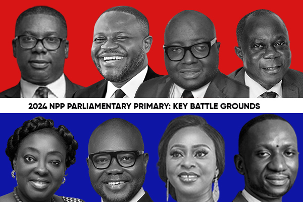 NPP parliamentary primaries: Key battle grounds to look out for