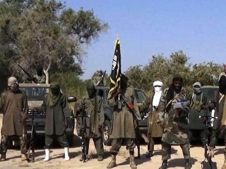 Boko Haram IED Kills 13 Borno Farmers
