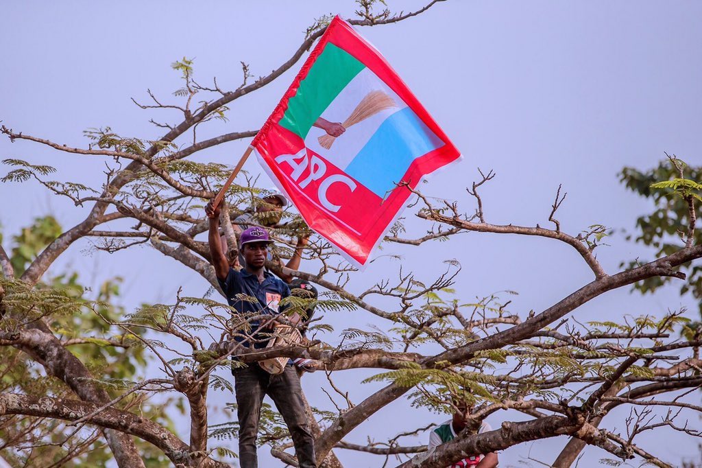 APC flag