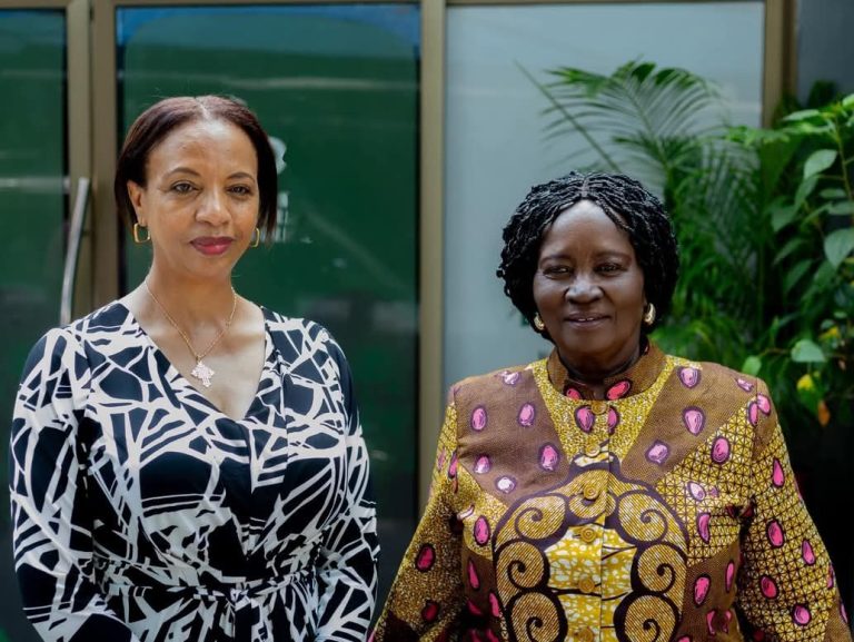 Vice President-elect holds discussions with Country Manager of African Development Bank