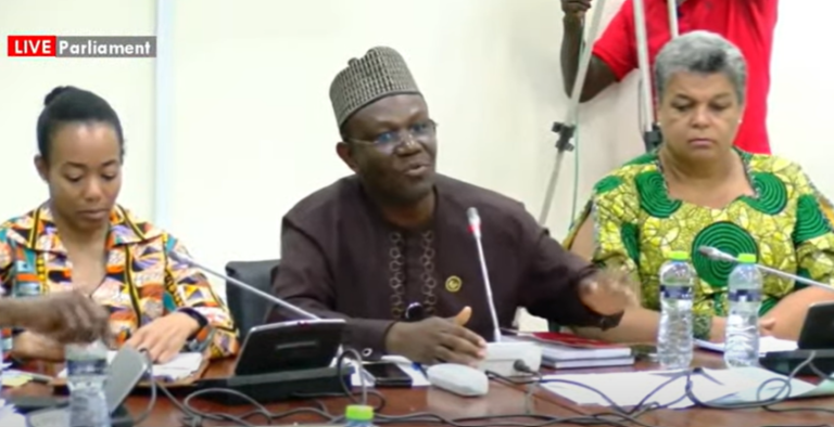 Vetting chaos committee suspends sitting indefinitely