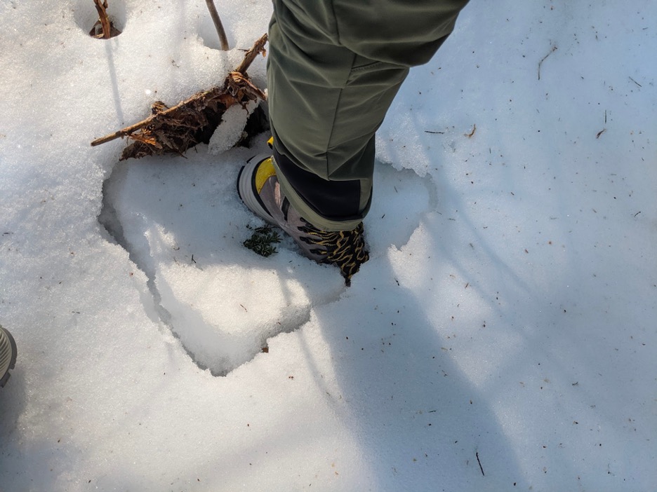 The flexible upper of the Danner Arctic 600 hiking boot provided plenty of protection when postholing