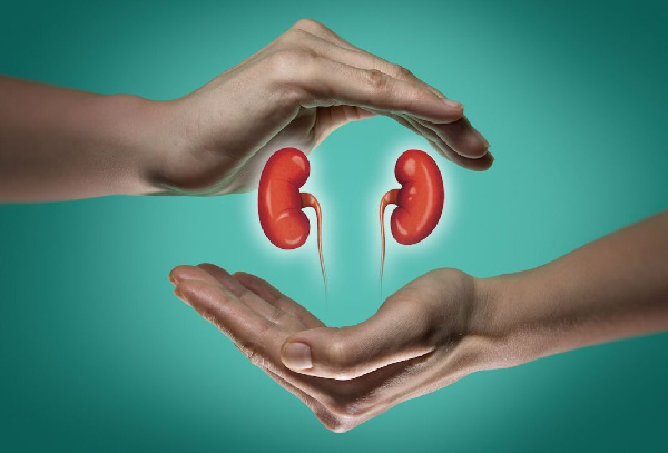 West Africa, Black Diaspora at risk over genetic link kidney disease