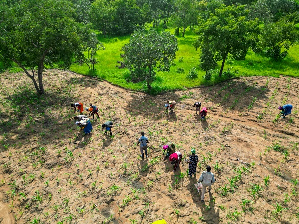 Government urged to support women farmers to improve food security