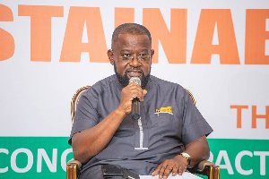 NPP did worse things; Mahama is only giving them farmgate treatment – Nana Yaa Jantuah