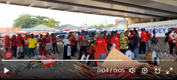 “More placards than human beings” – Okatakyie Afrifa Mensah mocked over failed demonstration