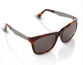 Wayfarer-sunglasses-with-silver-arm-in-brown